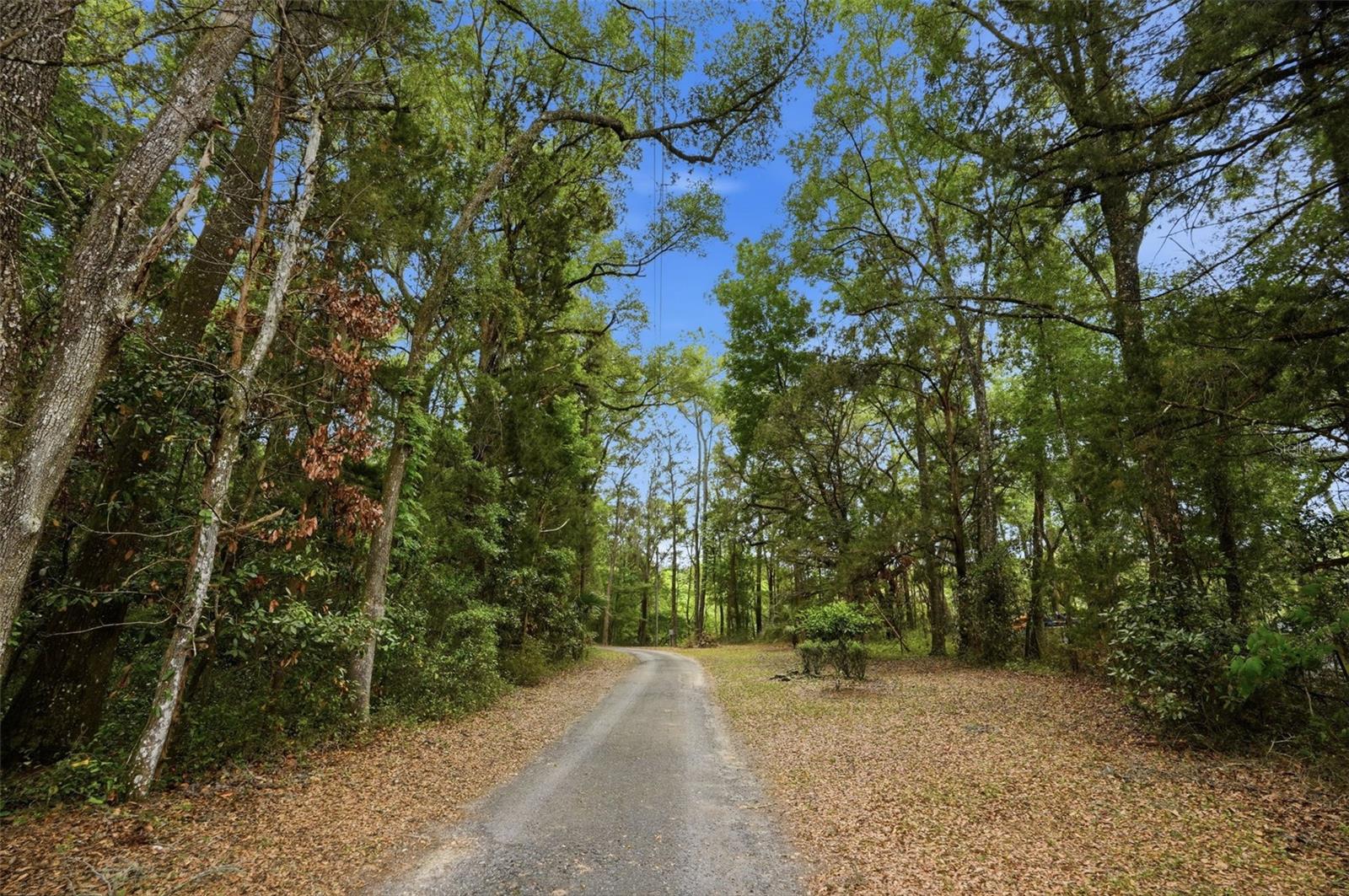 16650 NE 53RD LN, WILLISTON, FL, 32696