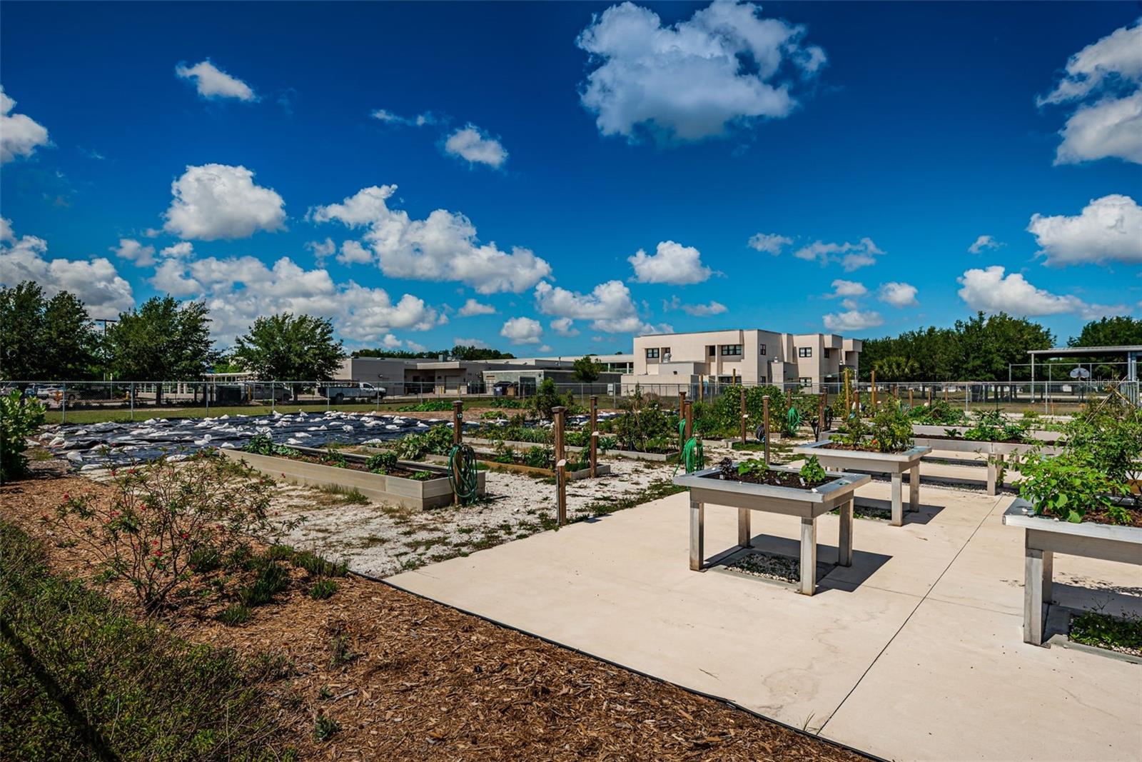 7101 13TH ST N, ST PETERSBURG, FL, 33702