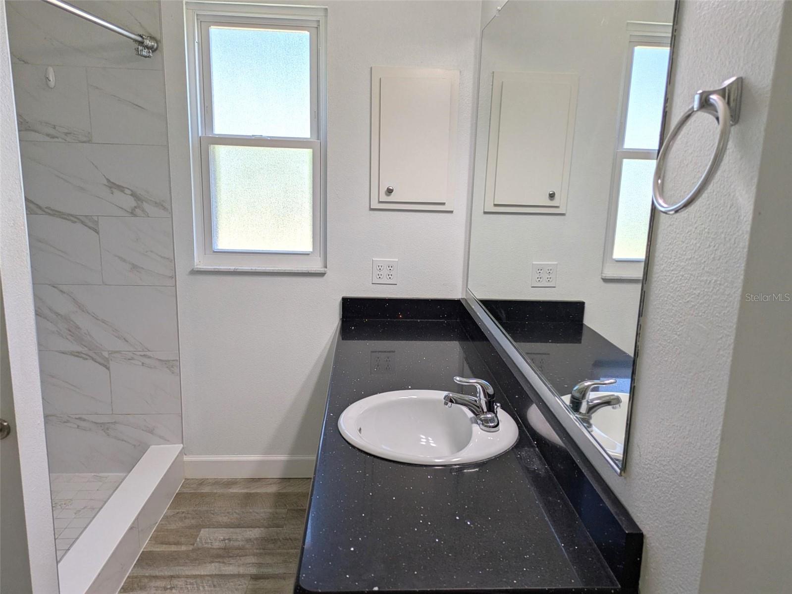 419 SANTA CLARA CIR, THE VILLAGES, FL, 32159