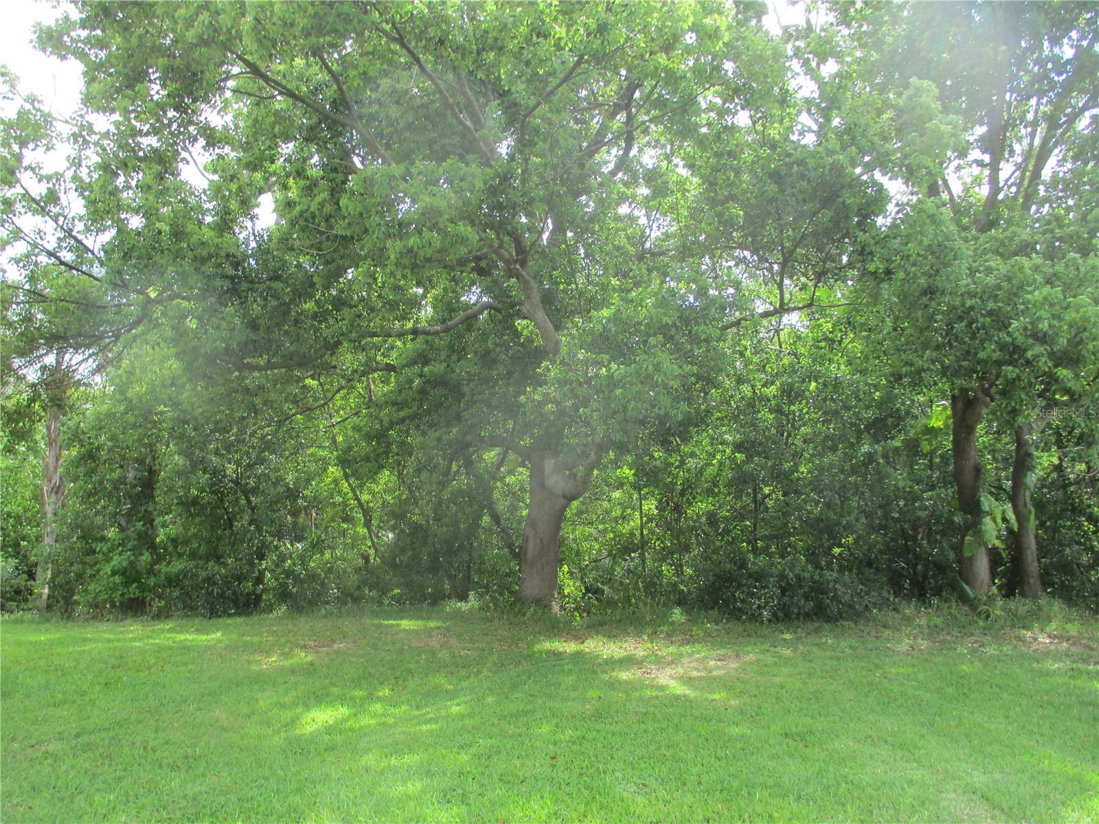 511 FINSBURY CIR #B, SUN CITY CENTER, FL, 33573