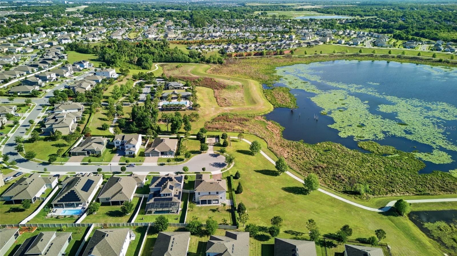 1709 SOUTHERN RED OAK CT, OCOEE, FL, 34761