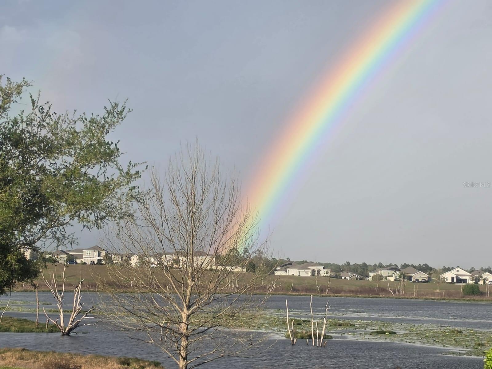 1709 SOUTHERN RED OAK CT, OCOEE, FL, 34761