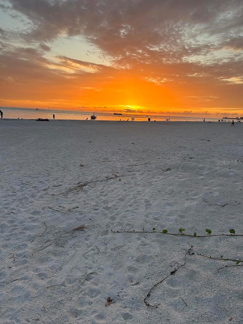 11655 3RD ST E #8, TREASURE ISLAND, FL, 33706