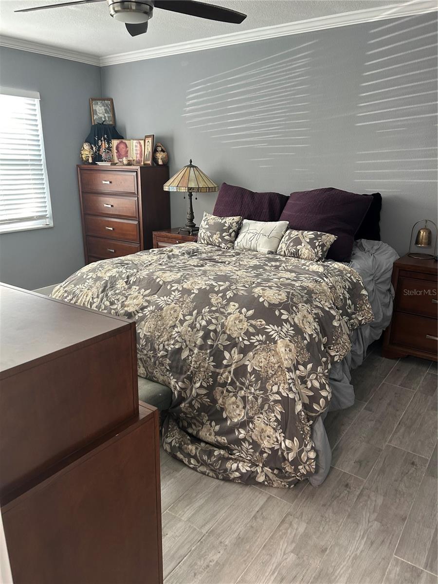 11655 3RD ST E #8, TREASURE ISLAND, FL, 33706