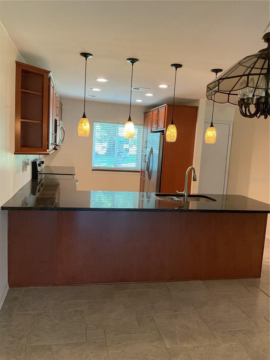 1060 DUNROBIN DR #A, PALM HARBOR, FL, 34684