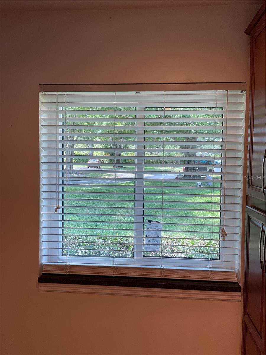 1060 DUNROBIN DR #A, PALM HARBOR, FL, 34684