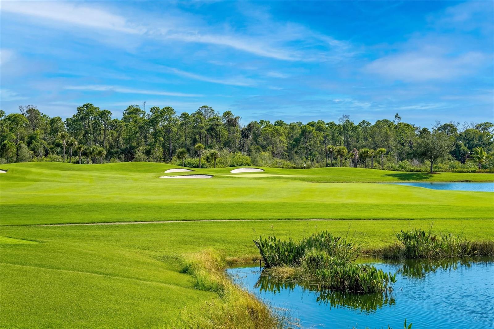 25228 KEYGRASS CT, PUNTA GORDA, FL, 33955