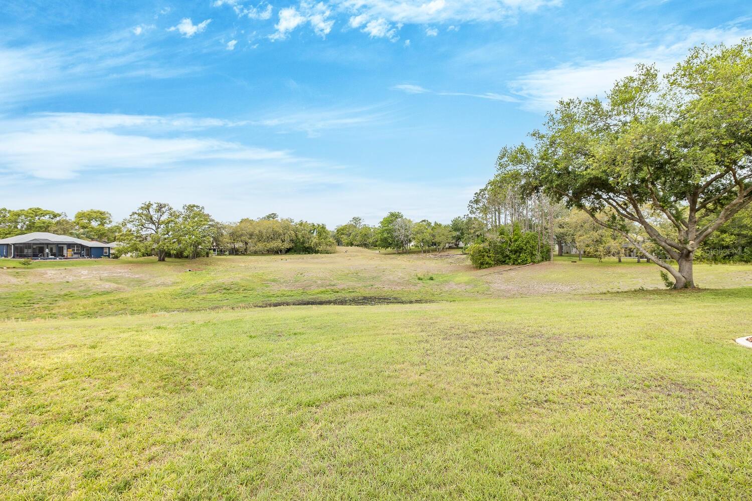 1213 VENETIA DR, SPRING HILL, FL, 34608