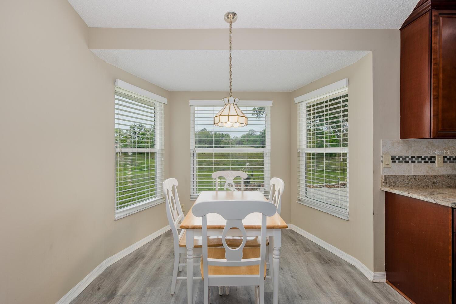 1213 VENETIA DR, SPRING HILL, FL, 34608