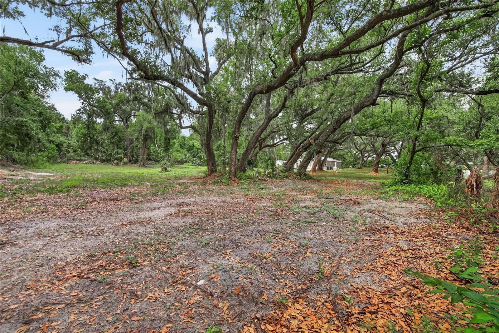 1412 UNION PACIFIC DR, PLANT CITY, FL, 33566