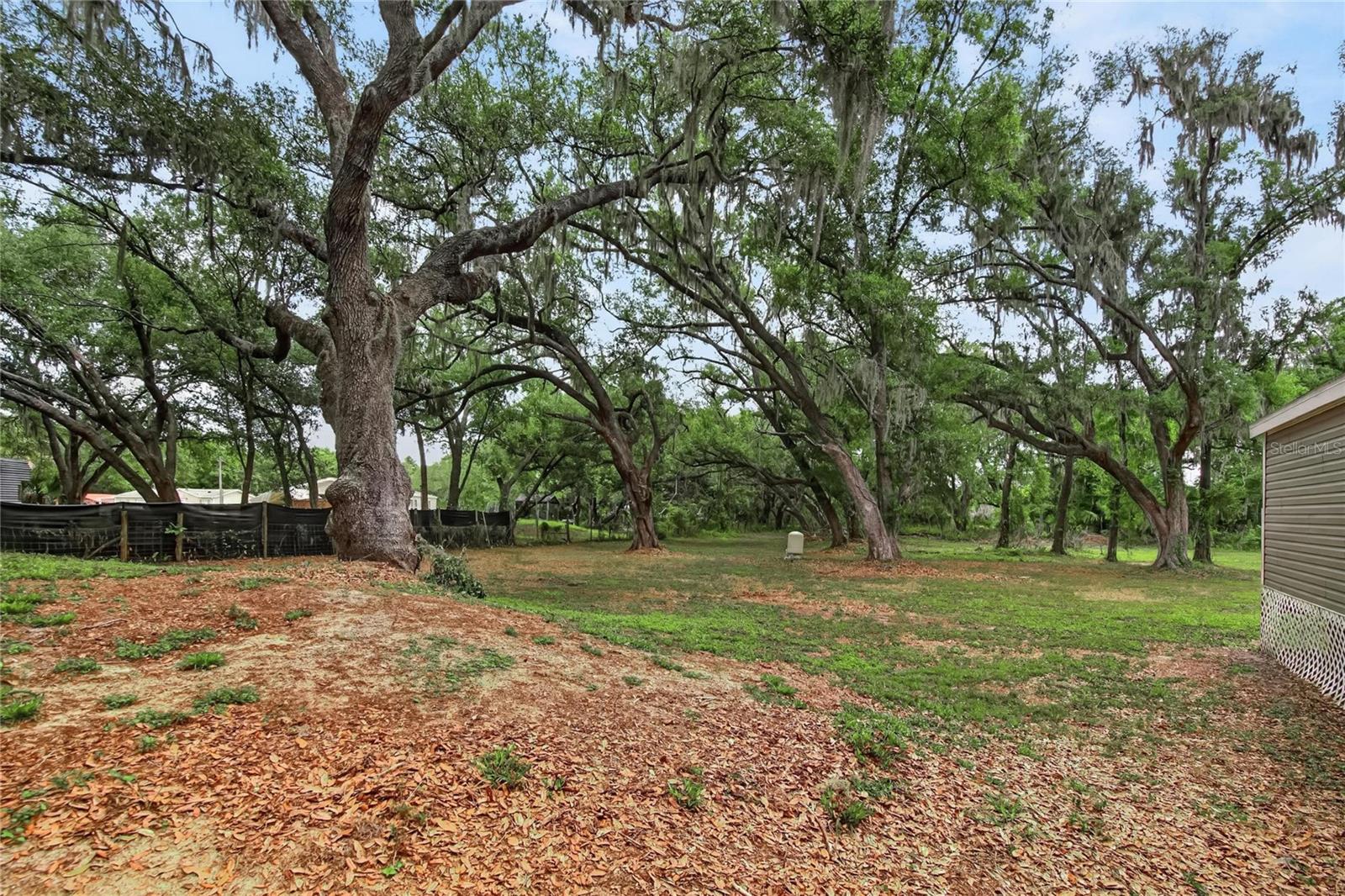 1412 UNION PACIFIC DR, PLANT CITY, FL, 33566
