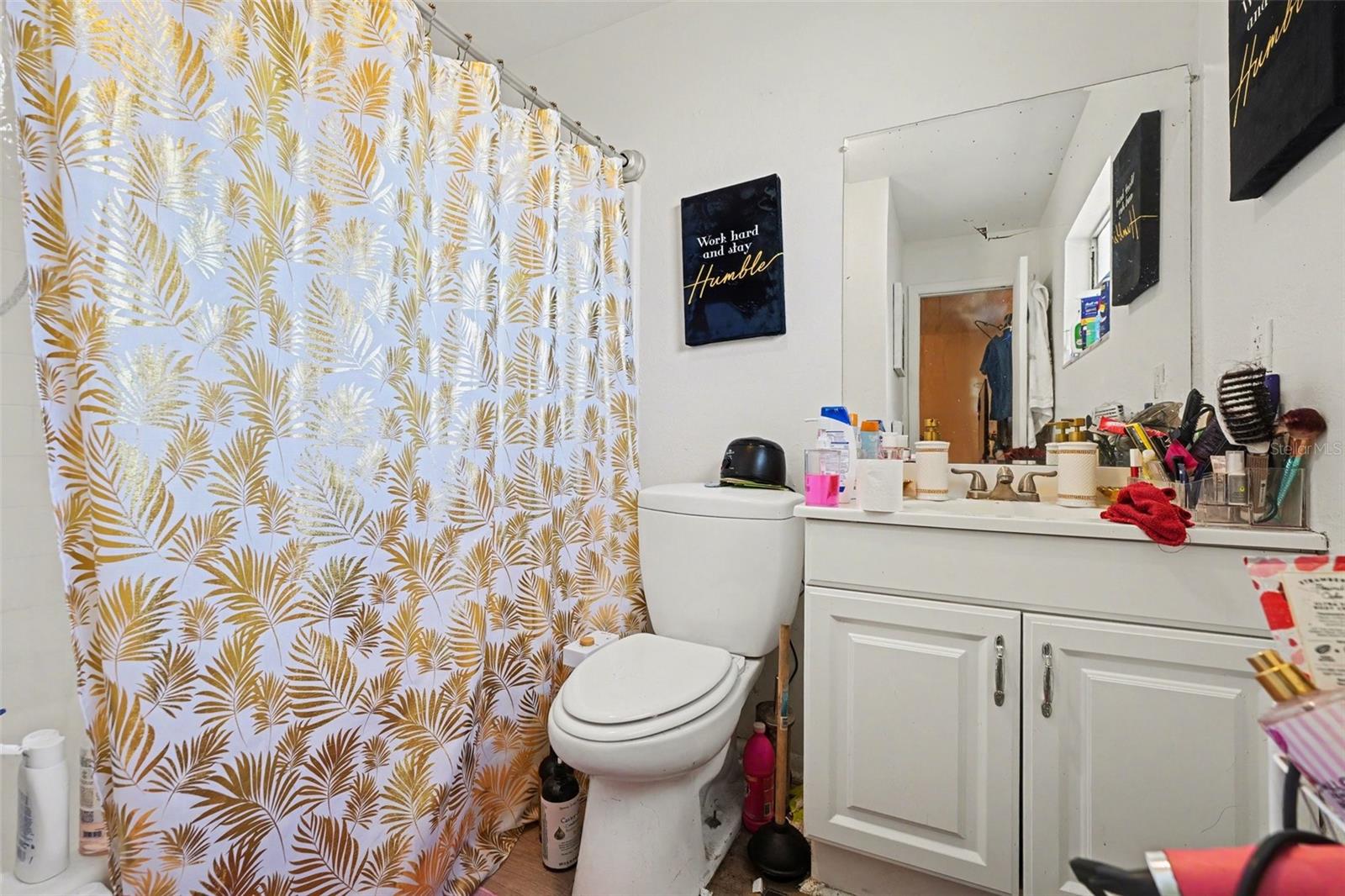 310 OGDEN ST, WINTER HAVEN, FL, 33880