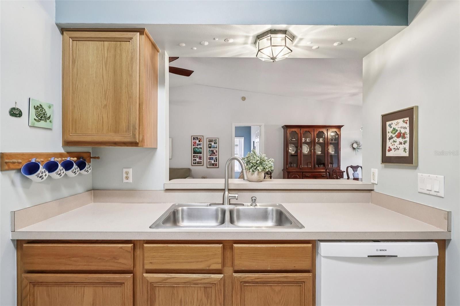 25723 BELLE ALLIANCE, LEESBURG, FL, 34748