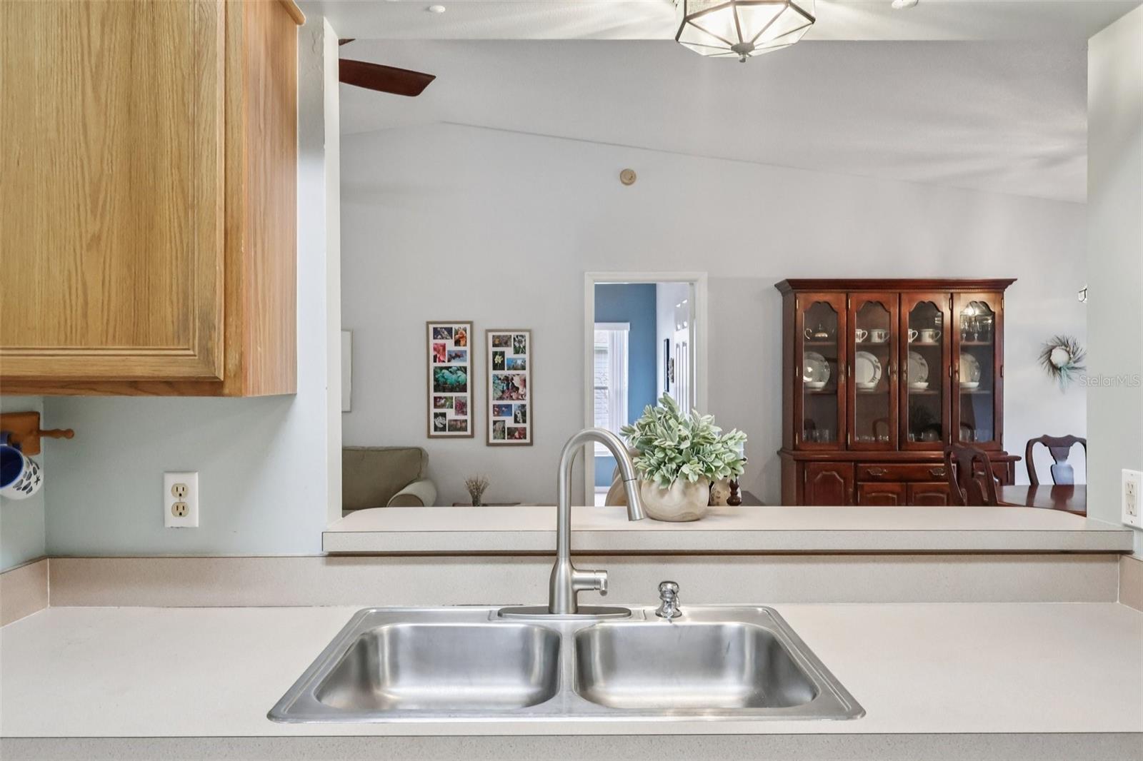 25723 BELLE ALLIANCE, LEESBURG, FL, 34748