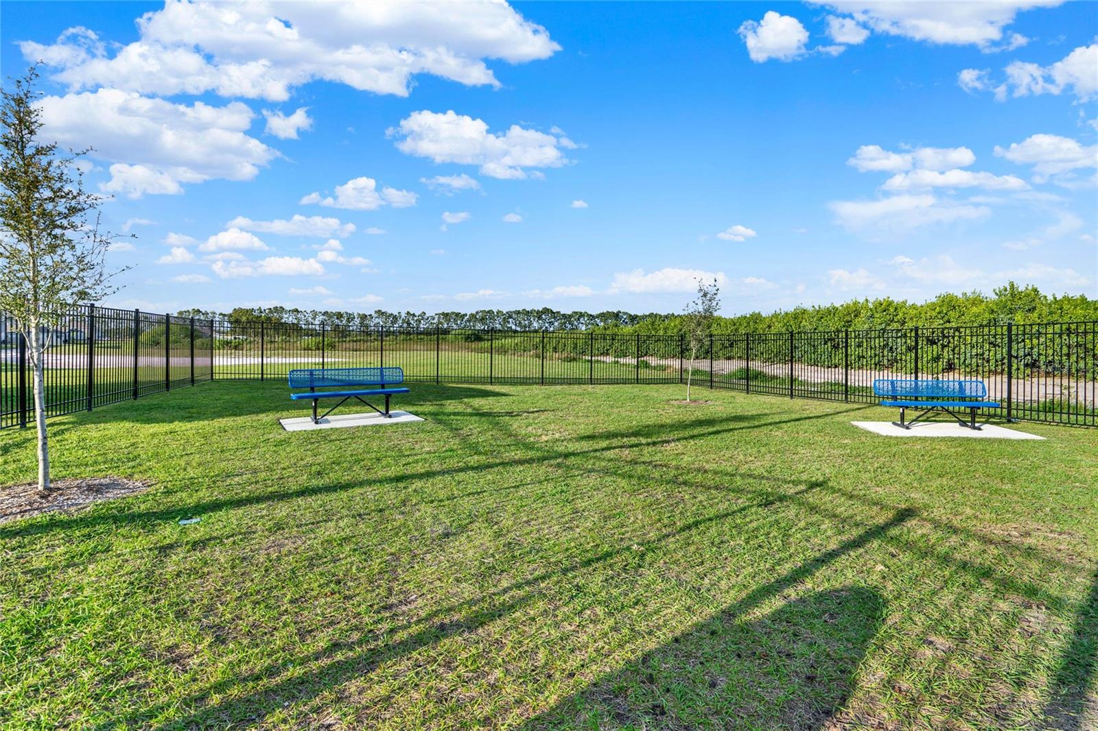 1993 SARAH ST, WINTER HAVEN, FL, 33884