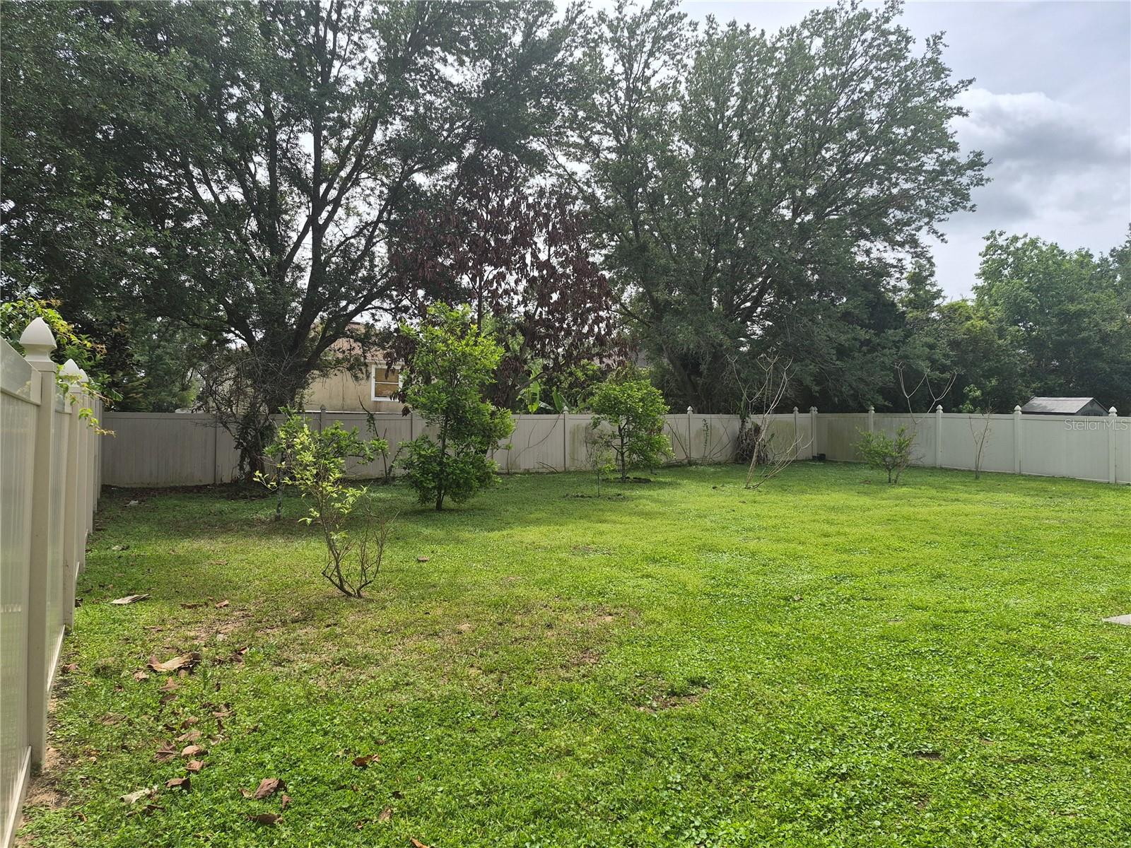 2554 PALMETTO RIDGE CIRCLE, APOPKA, FL, 32712