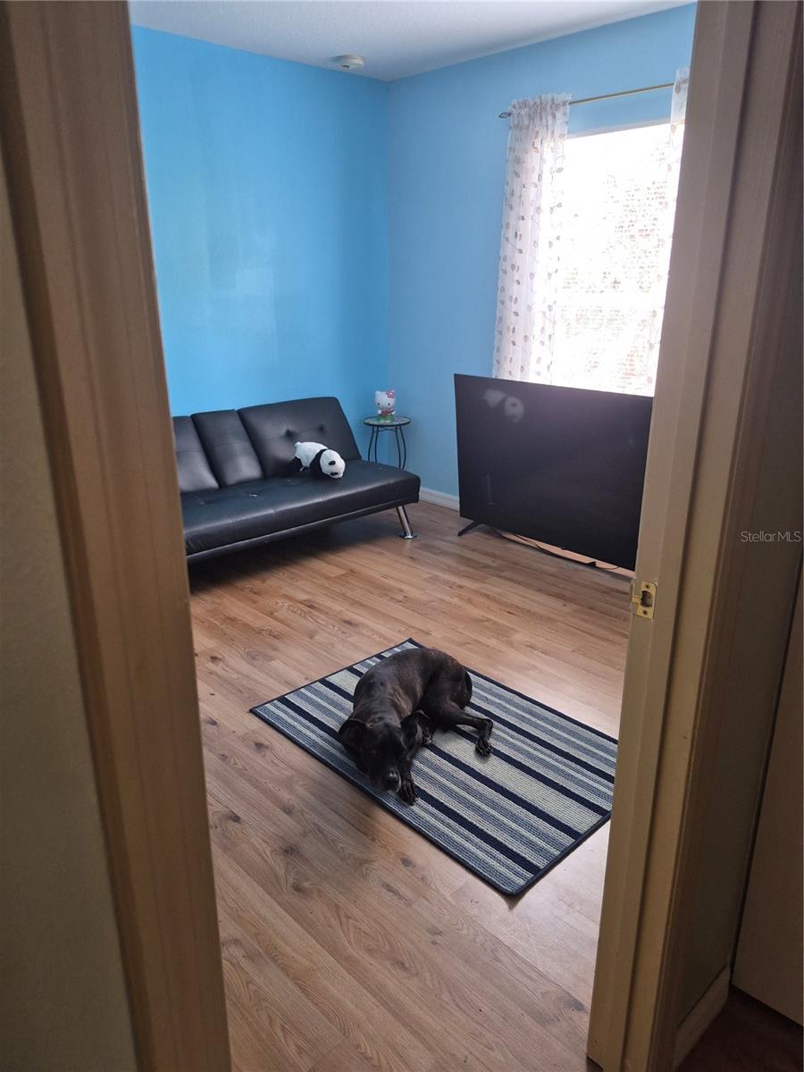 2554 PALMETTO RIDGE CIRCLE, APOPKA, FL, 32712