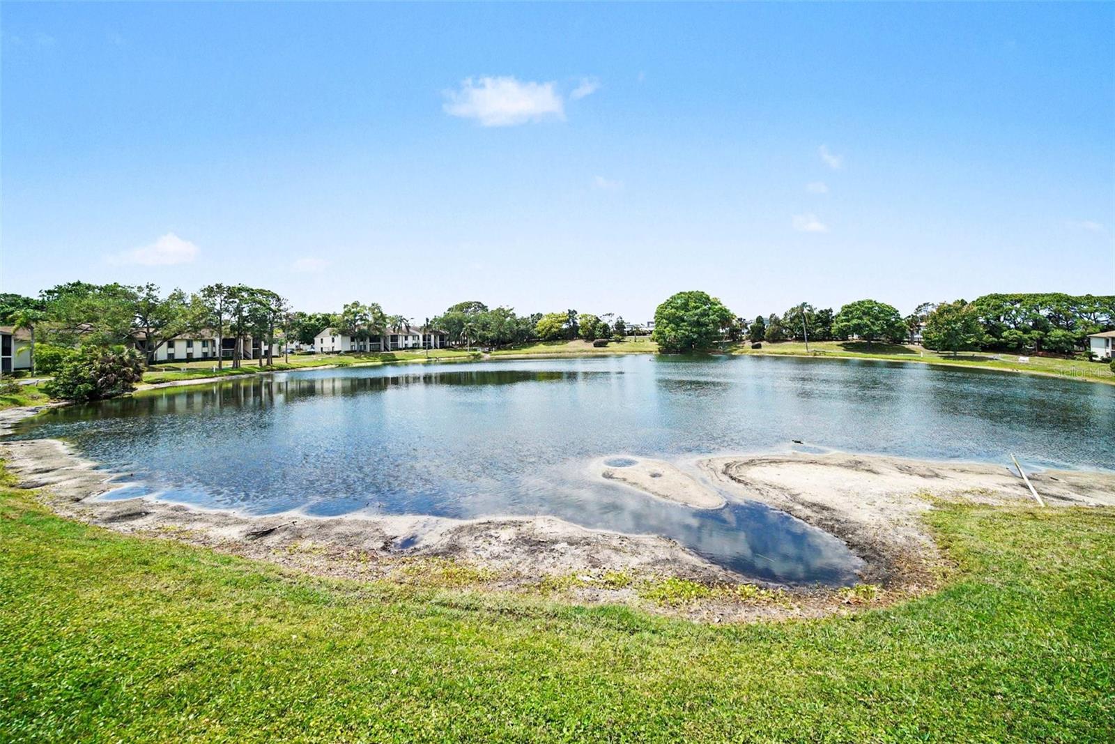1870 PINE RIDGE WAY W #D2, PALM HARBOR, FL, 34684