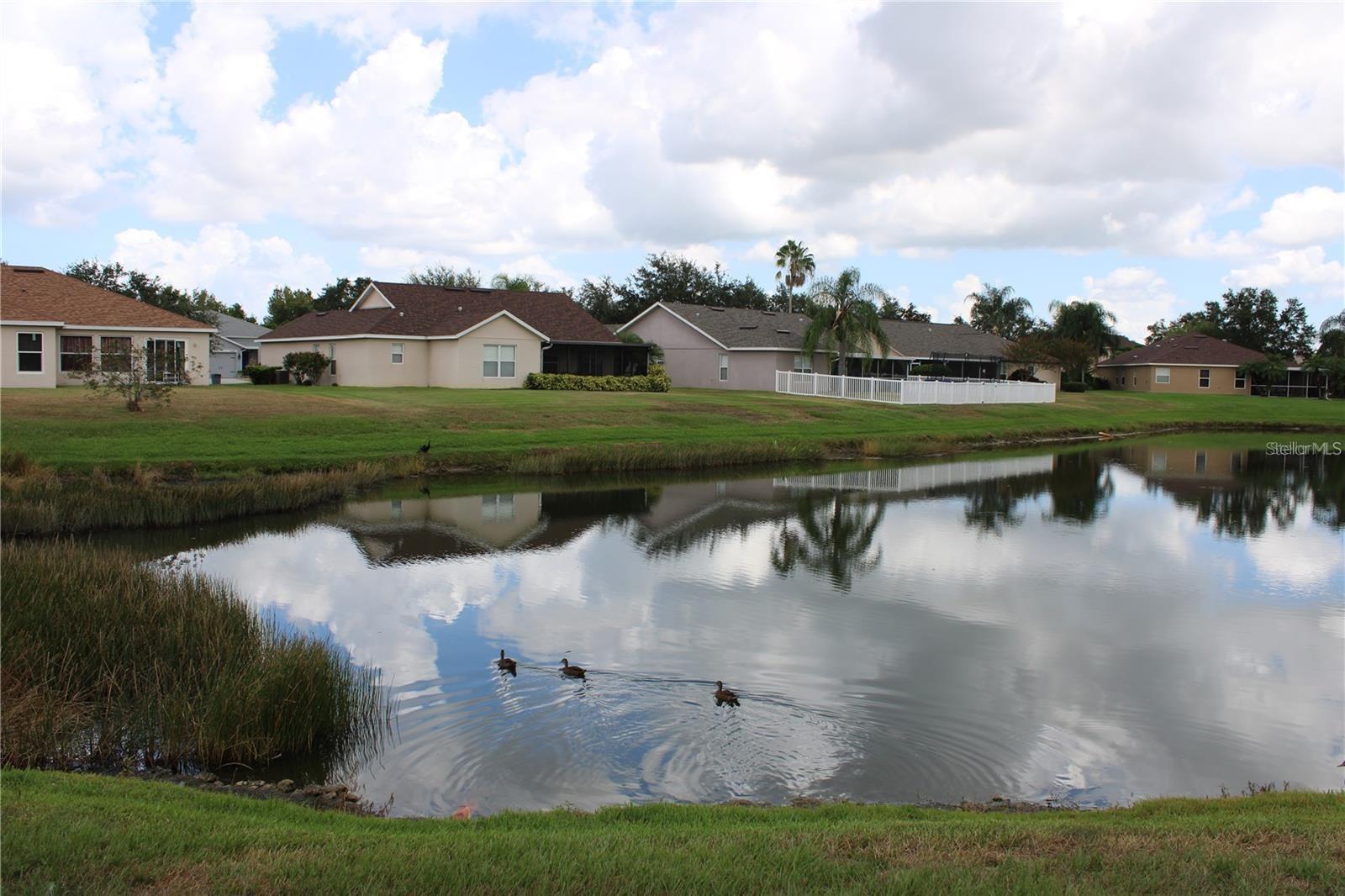 11479 WALDEN LOOP, PARRISH, FL, 34219