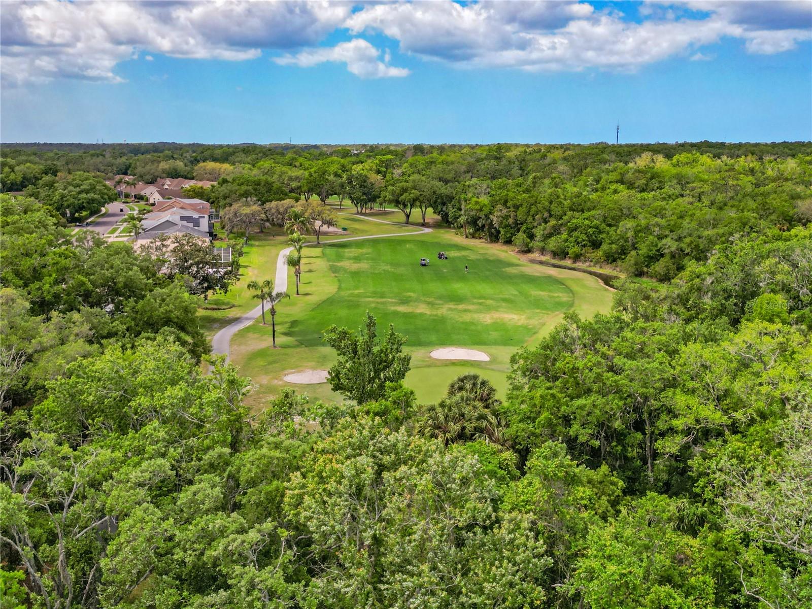 9521 SPRINGMEADOW DR, NEW PORT RICHEY, FL, 34655