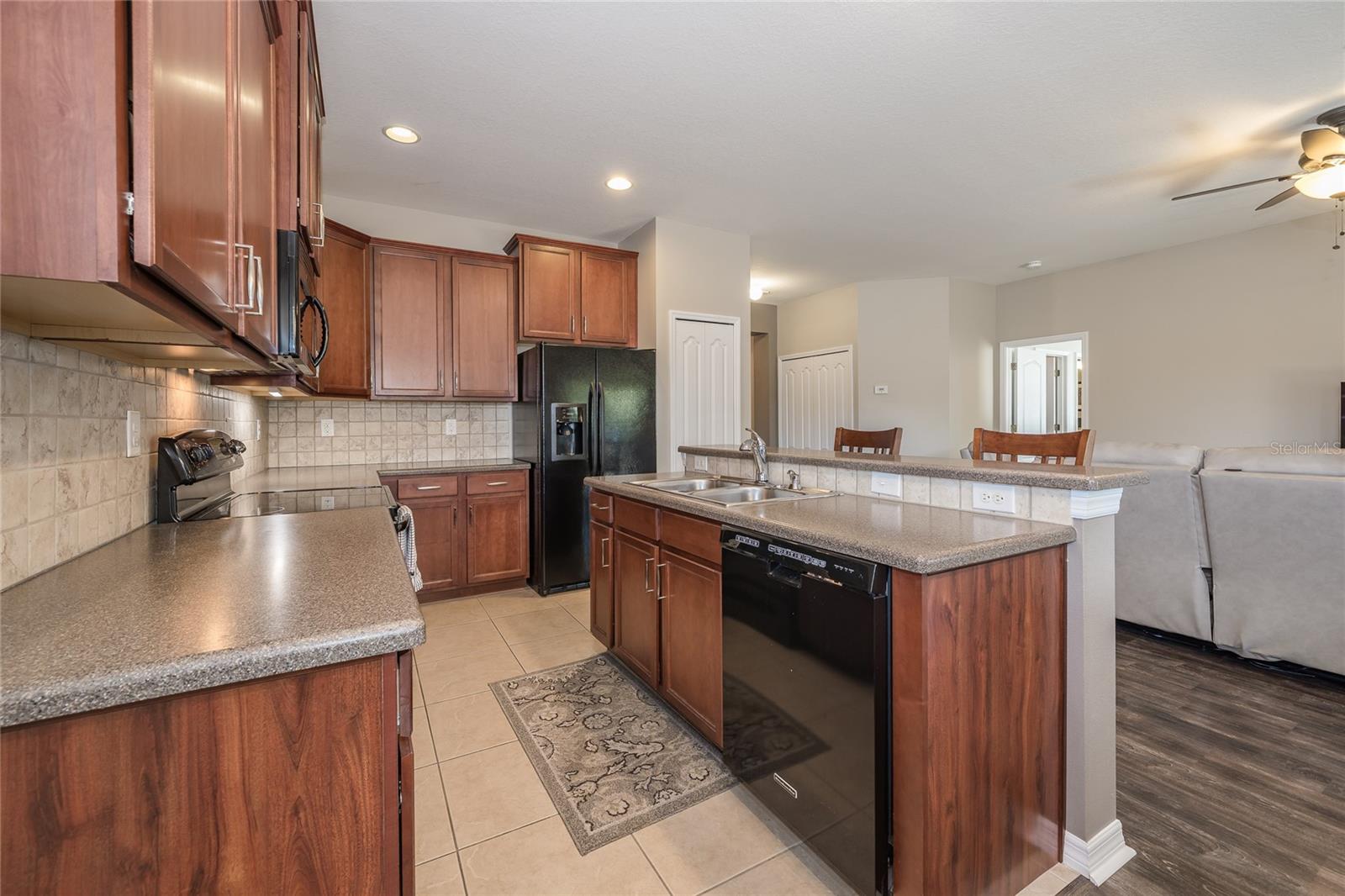 12205 FAIRLAWN DR, RIVERVIEW, FL, 33579