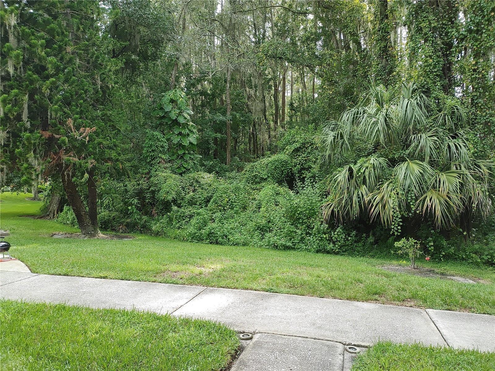 1983 ABRICO DR #H-13, LUTZ, FL, 33558