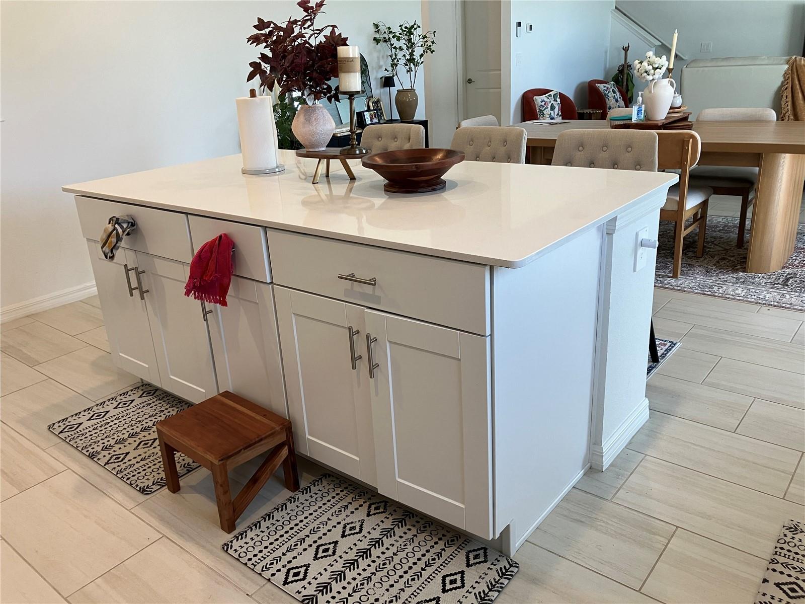 13259 PALMERSTON RD, RIVERVIEW, FL, 33579