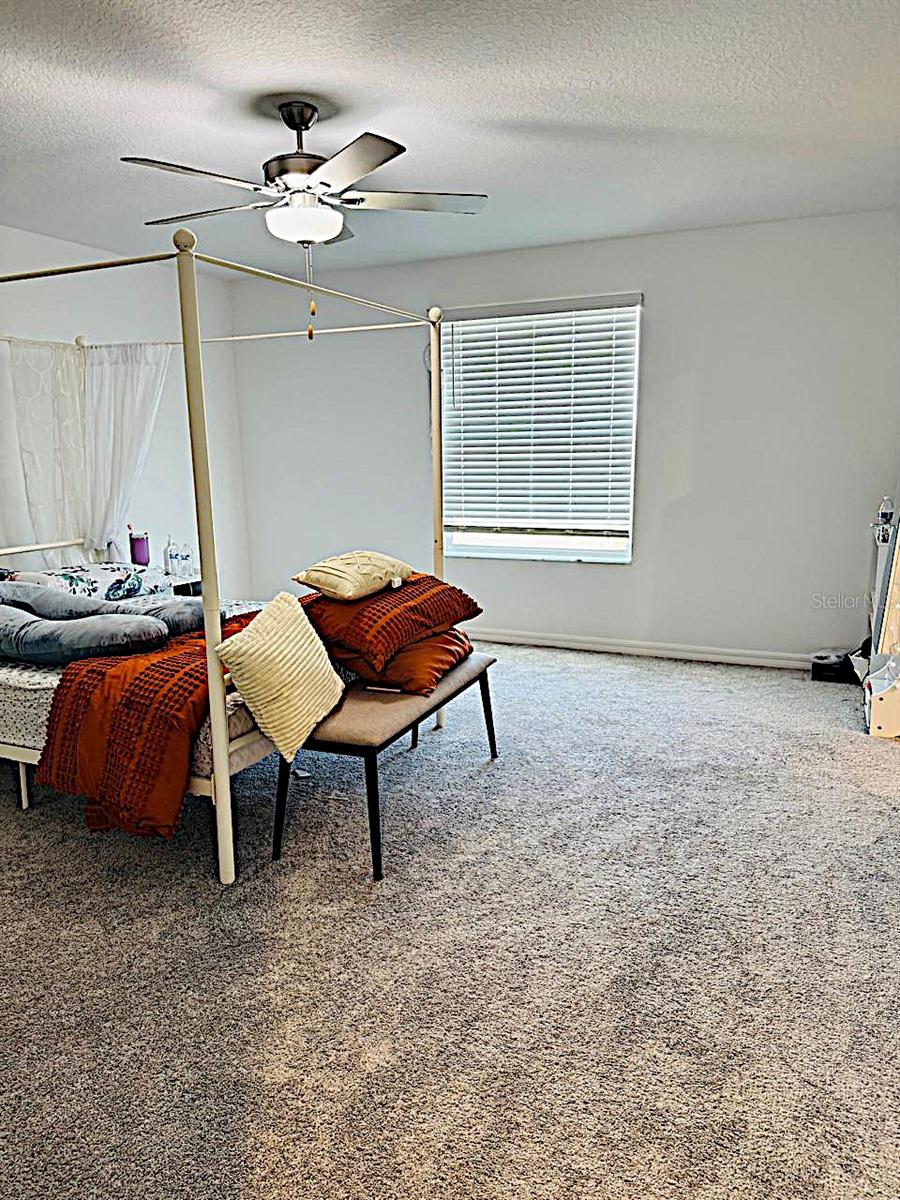 13259 PALMERSTON RD, RIVERVIEW, FL, 33579