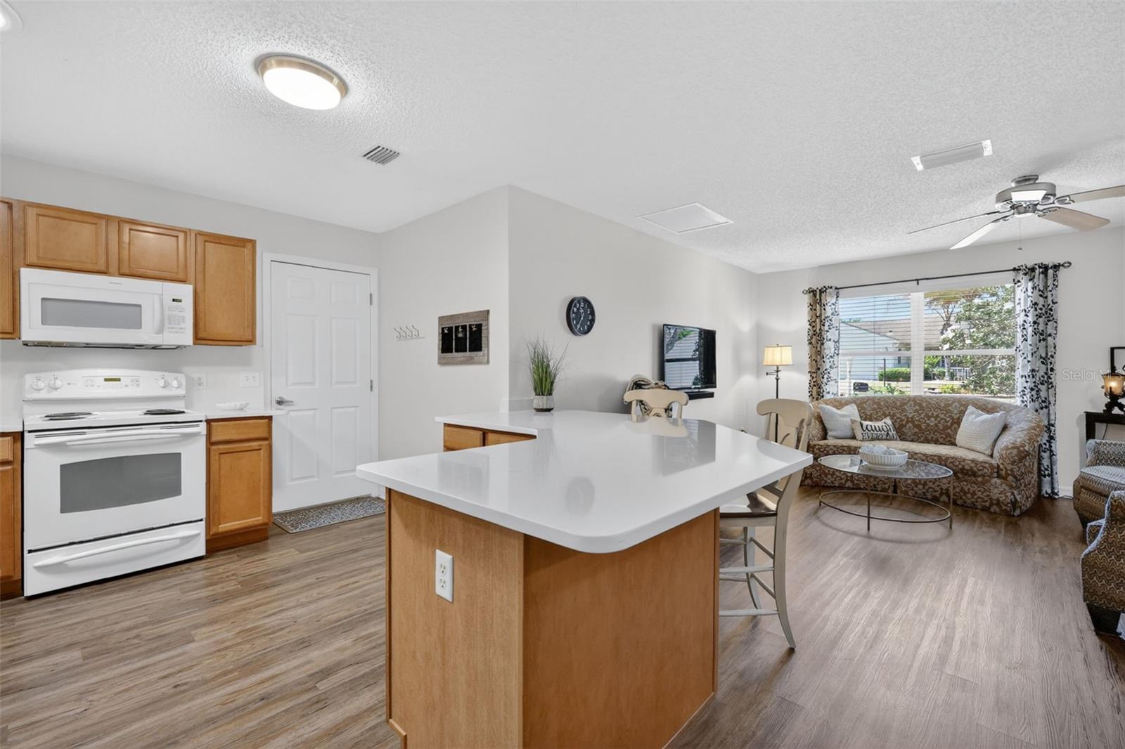 1539 HOLLYBERRY PL, THE VILLAGES, FL, 32162