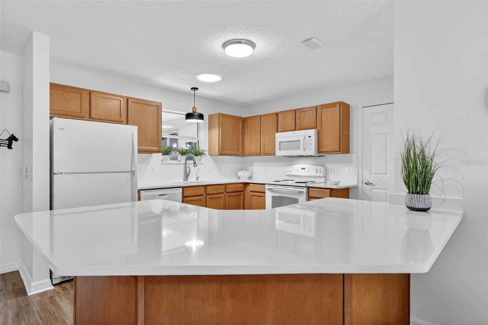 1539 HOLLYBERRY PL, THE VILLAGES, FL, 32162