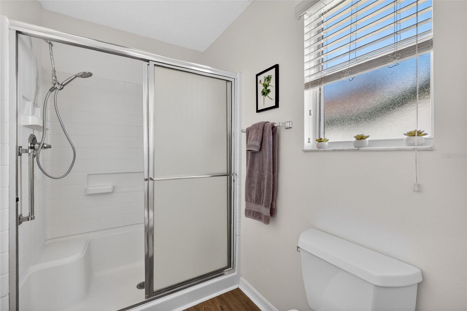 1539 HOLLYBERRY PL, THE VILLAGES, FL, 32162