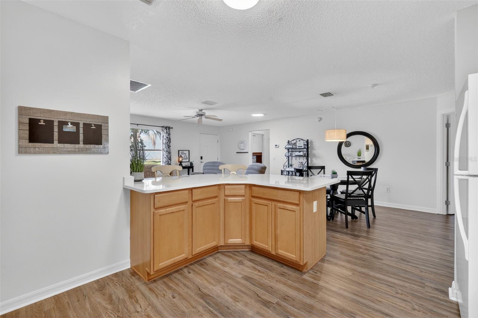 1539 HOLLYBERRY PL, THE VILLAGES, FL, 32162