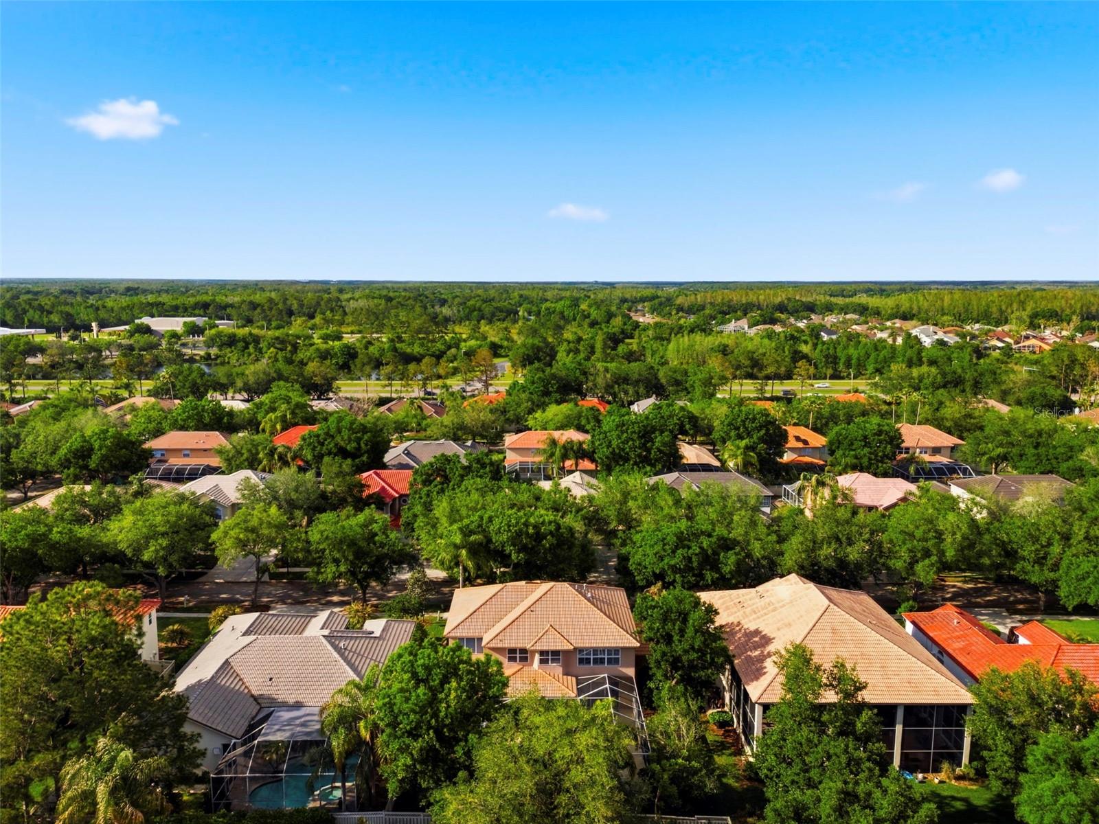 9207 MEADOW LANE CT, TAMPA, FL, 33647