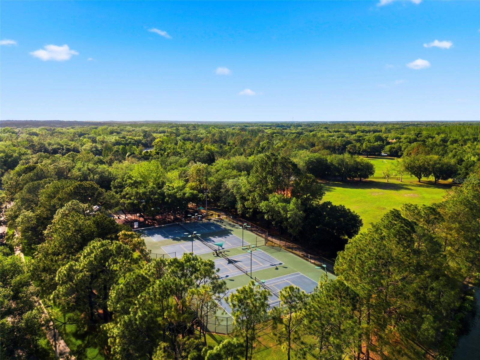 9207 MEADOW LANE CT, TAMPA, FL, 33647