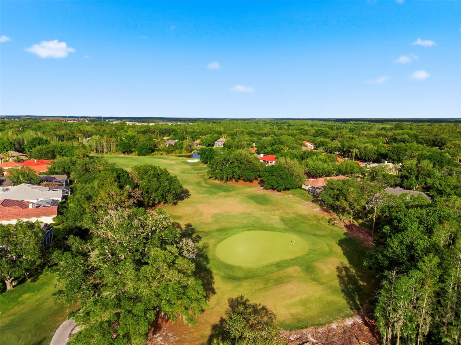 9207 MEADOW LANE CT, TAMPA, FL, 33647