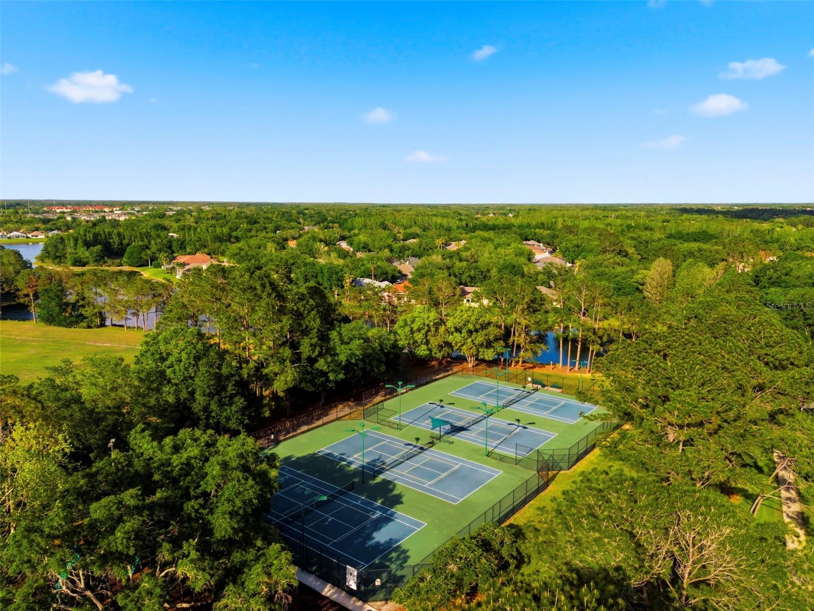 9207 MEADOW LANE CT, TAMPA, FL, 33647