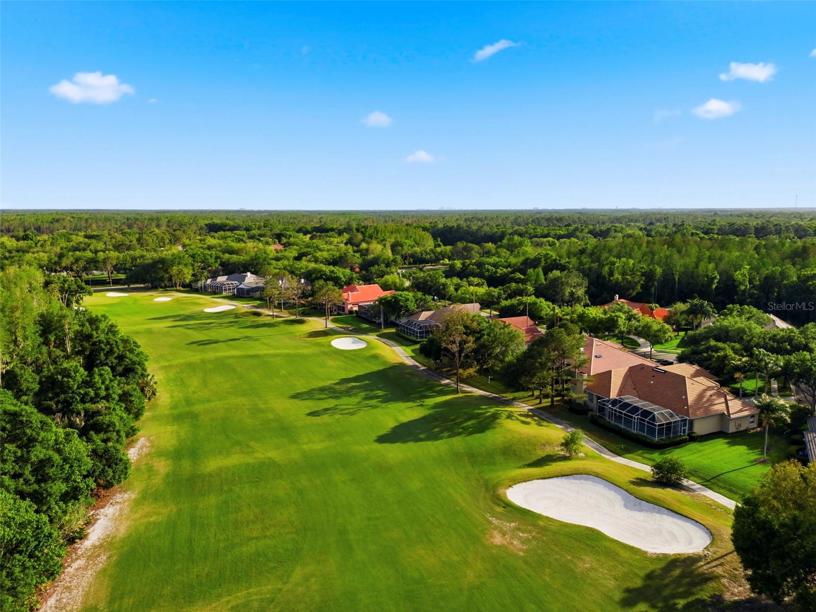 9207 MEADOW LANE CT, TAMPA, FL, 33647