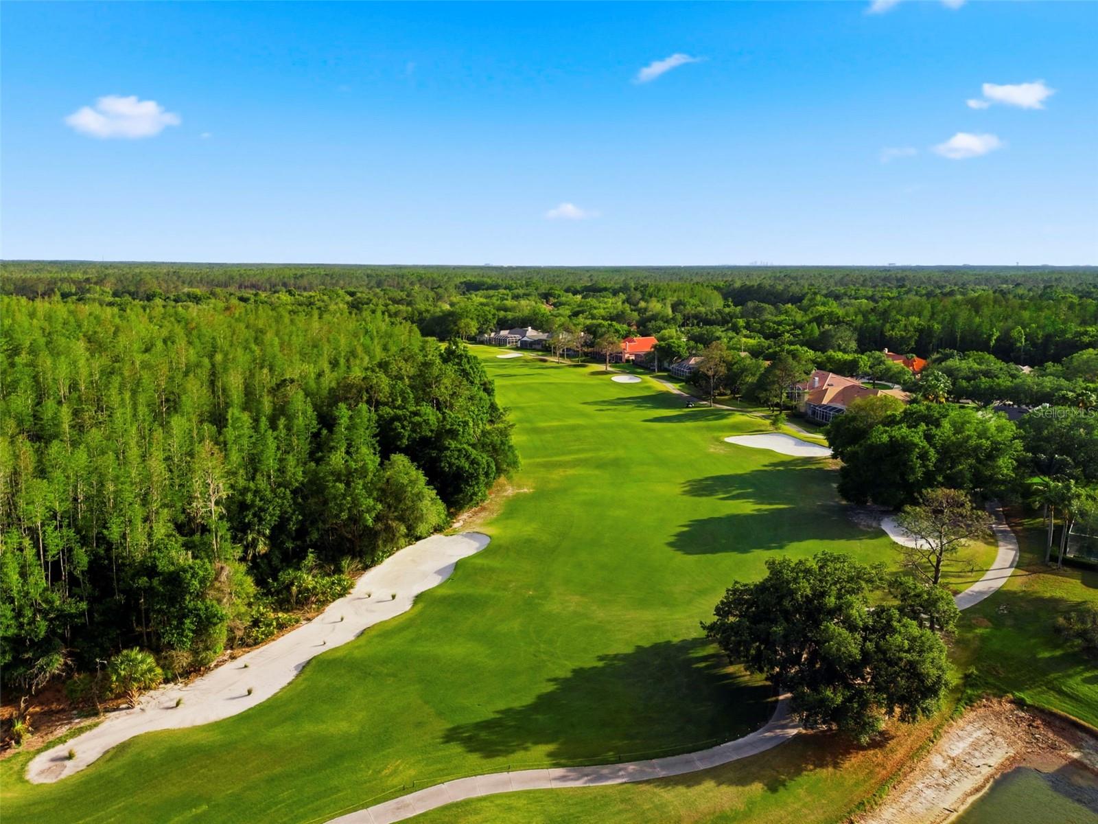 9207 MEADOW LANE CT, TAMPA, FL, 33647