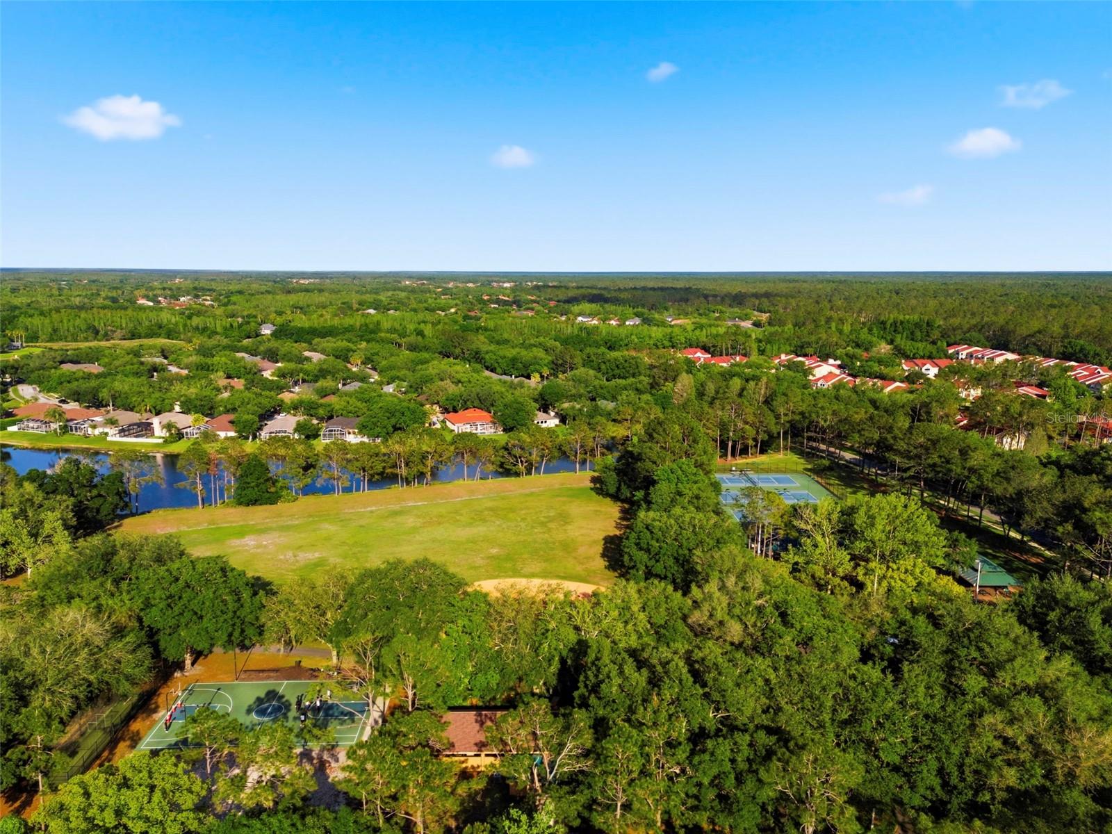 9207 MEADOW LANE CT, TAMPA, FL, 33647