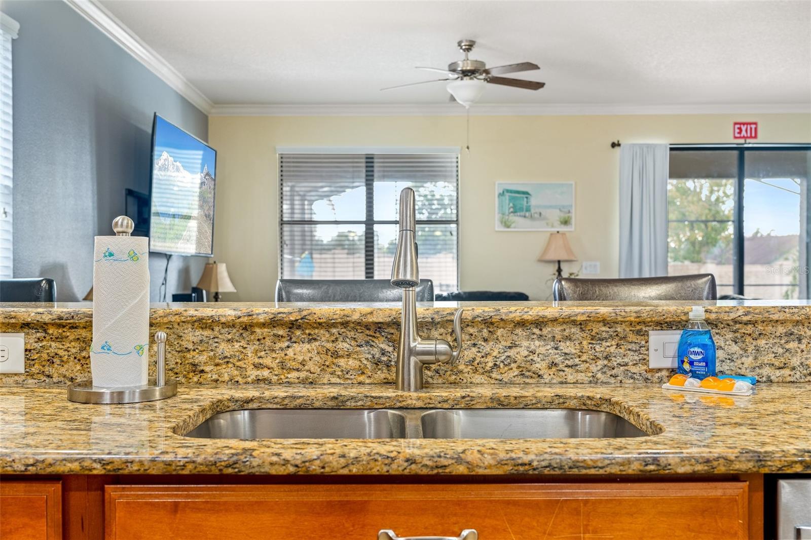 1496 MOON VALLEY DR, DAVENPORT, FL, 33896