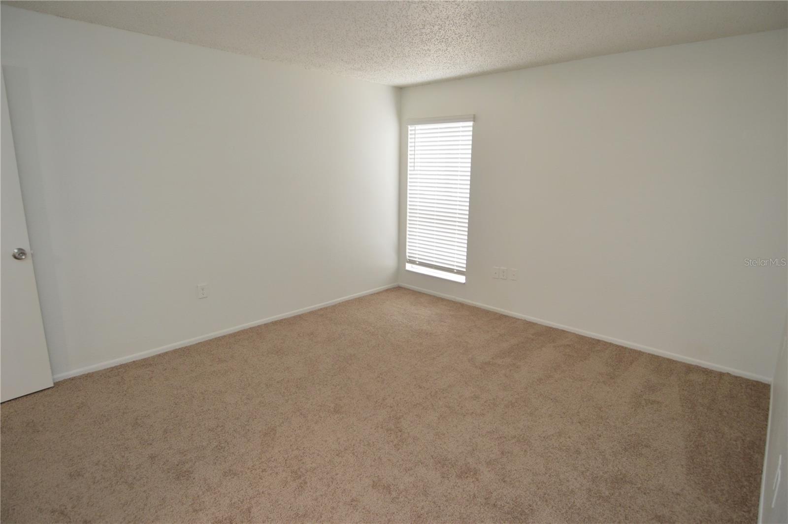 8425 CERRO CIR #163, TAMPA, FL, 33617