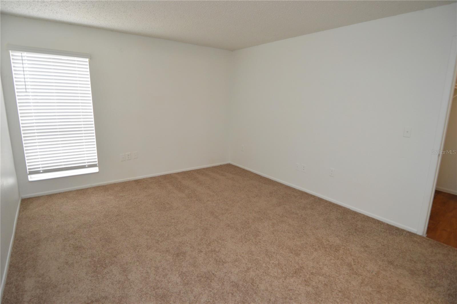 8425 CERRO CIR #163, TAMPA, FL, 33617