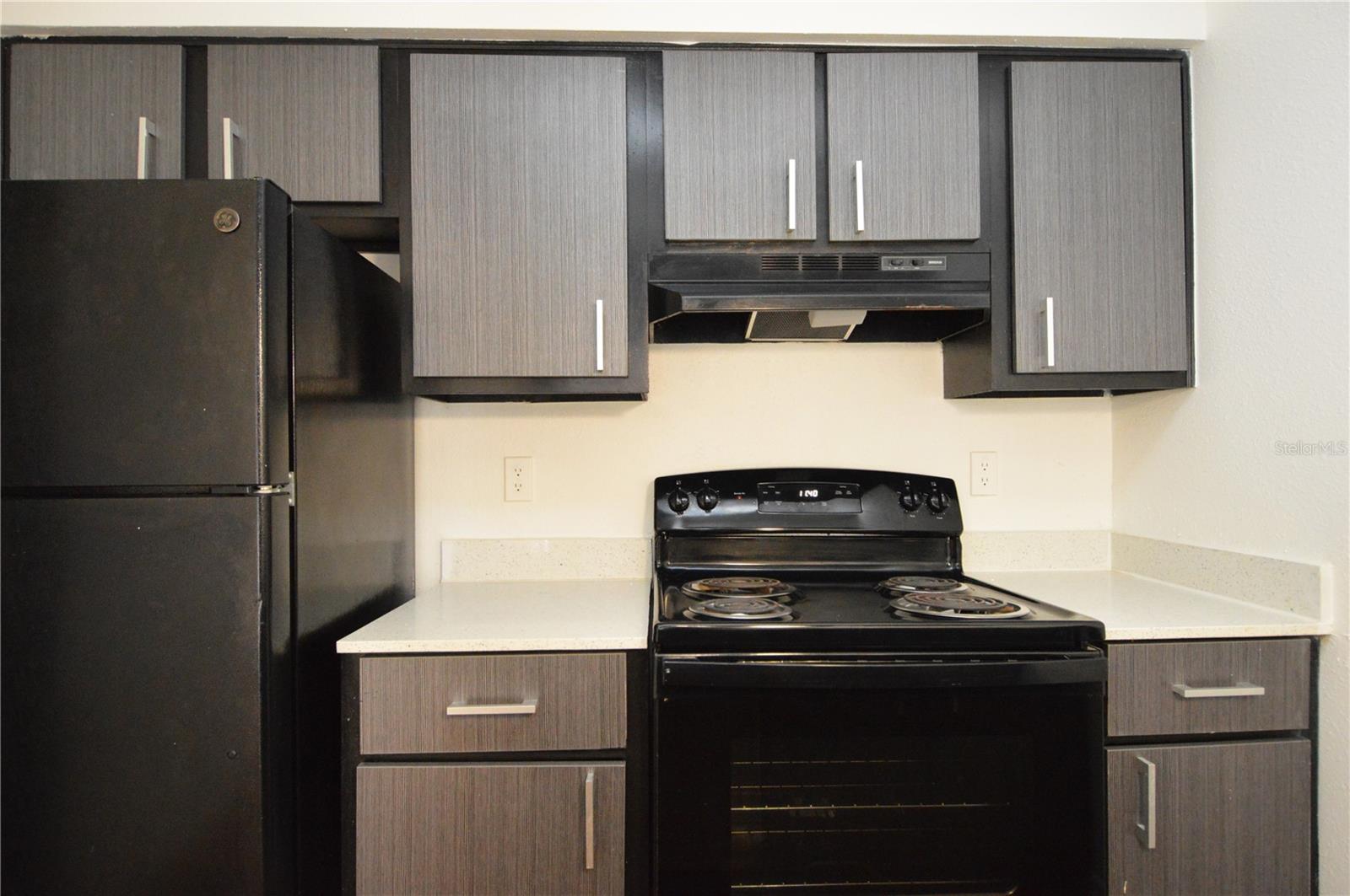 8425 CERRO CIR #163, TAMPA, FL, 33617