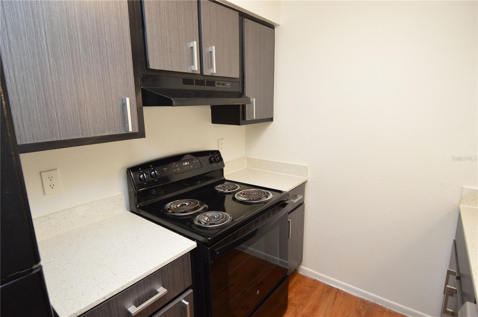 8425 CERRO CIR #163, TAMPA, FL, 33617