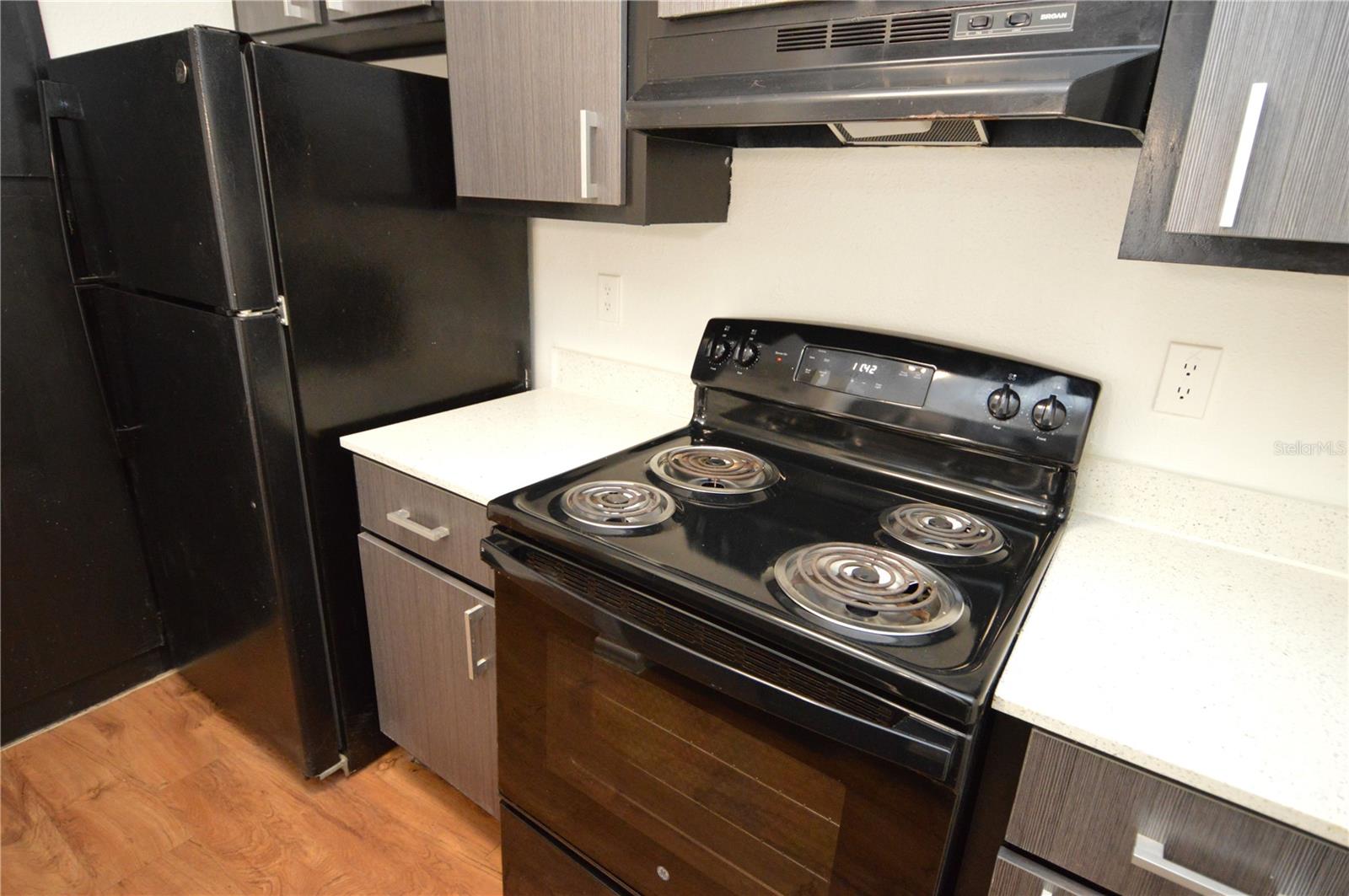 8425 CERRO CIR #163, TAMPA, FL, 33617