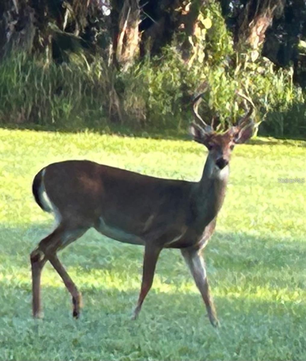 8311 FLAGSTAFF WAY, SARASOTA, FL, 34241