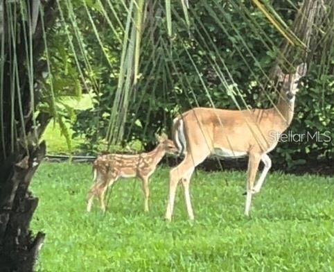 8311 FLAGSTAFF WAY, SARASOTA, FL, 34241