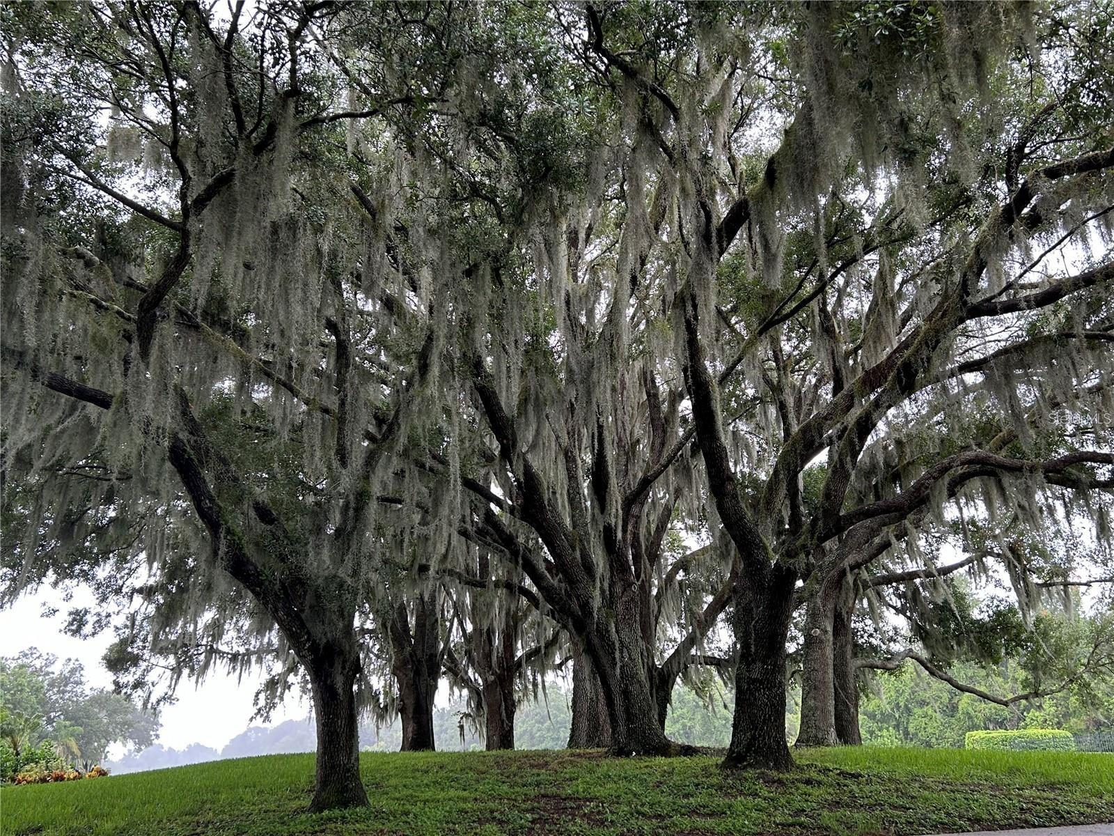 8311 FLAGSTAFF WAY, SARASOTA, FL, 34241