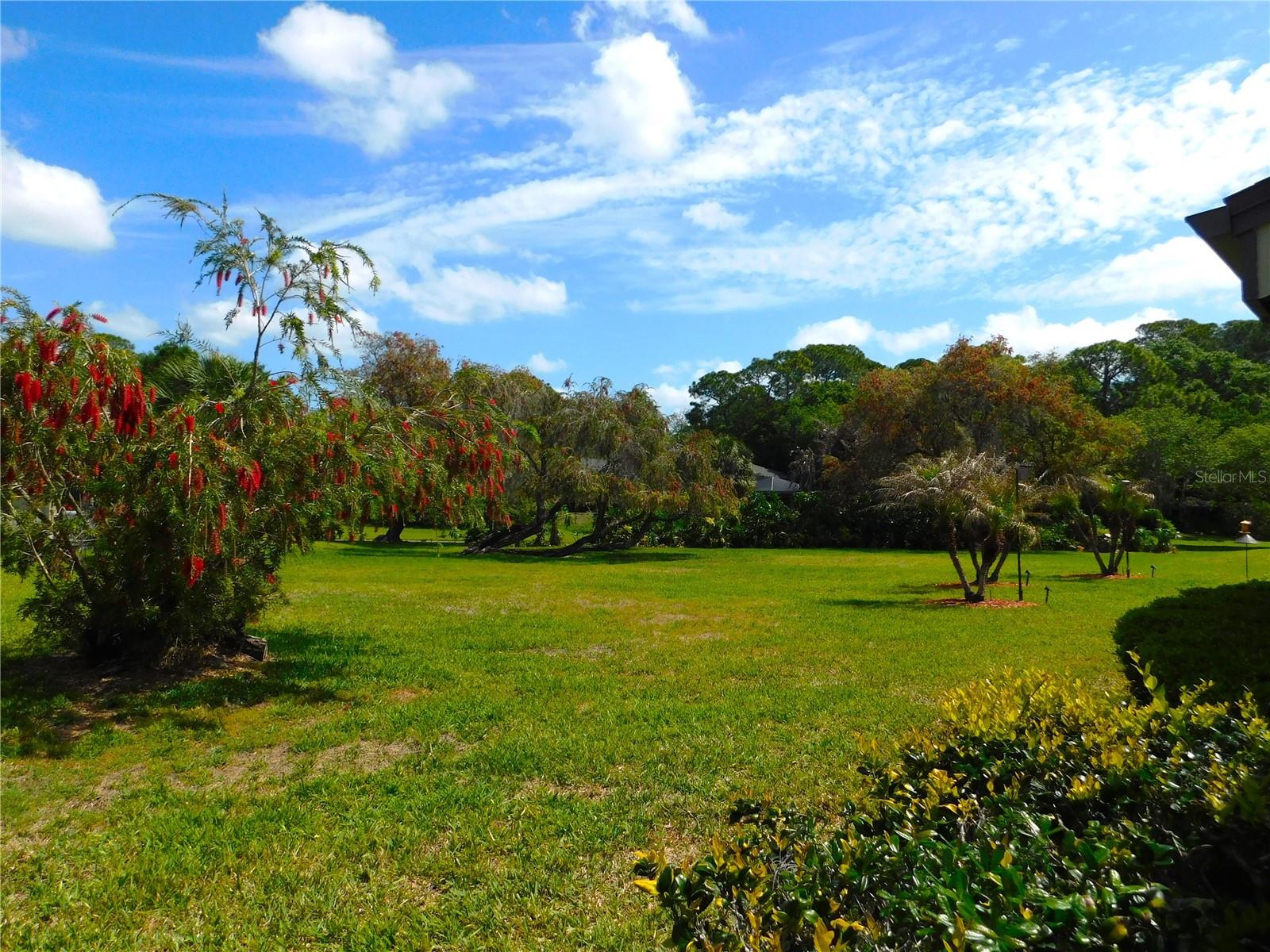 40 DALE PL, OLDSMAR, FL, 34677