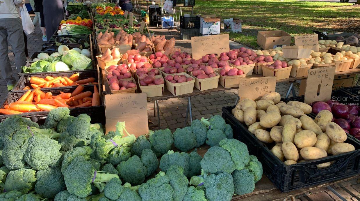 11745 VIA LUCERNA CIR, WINDERMERE, FL, 34786